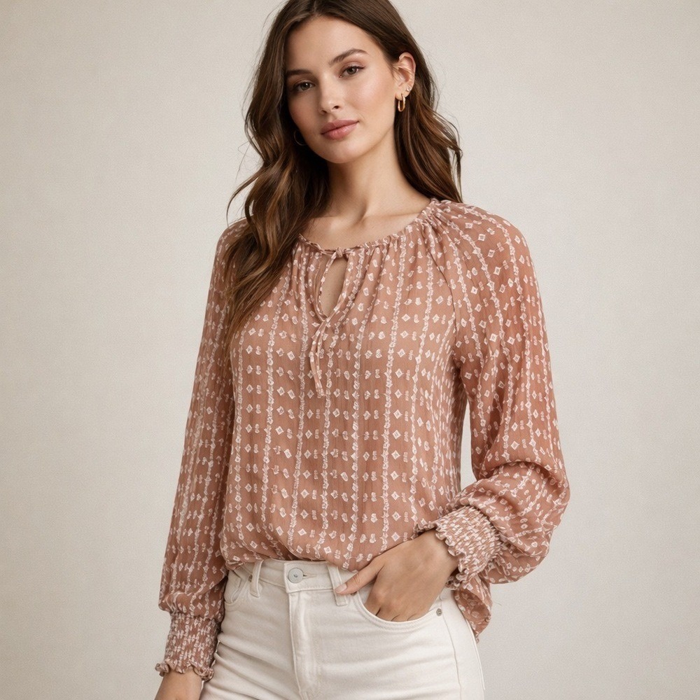 Walter Baker Size S Peach Embroidered Sheer Tie Neck Blouse Smocked Cuffs